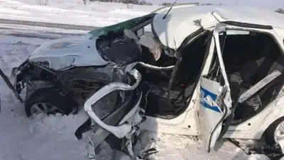 Zakon.kz, фото - Новости Zakon.kz от 20.02.2017 21:55