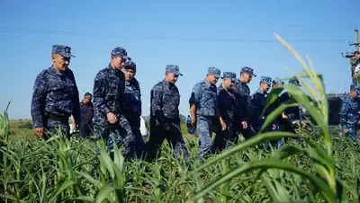 Расширяется зона поиска пятилетней девочки, пропавшей в Костанайской области, фото - Новости Zakon.kz от 09.08.2022 12:58