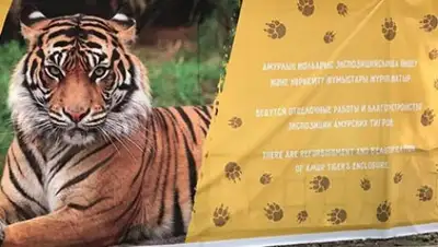 Zakon.kz, фото - Новости Zakon.kz от 19.08.2017 23:34