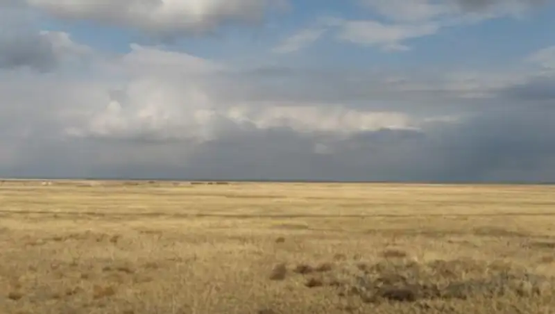 Ақмолада адасып қалған австралиялық саяхатшы құтқарылды