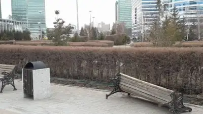 соцсети, фото - Новости Zakon.kz от 17.04.2018 23:59