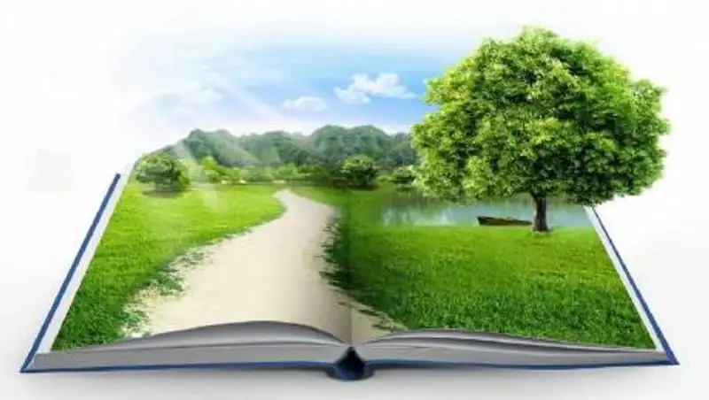 Новый Эко-кодекс расширяет права экологических организаций - Лаззат Рамазанова