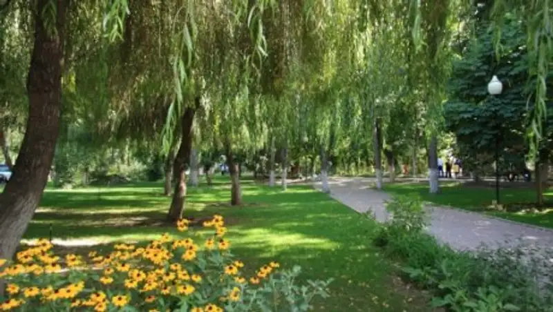 Алматы хотят вернуть былую славу зоосада