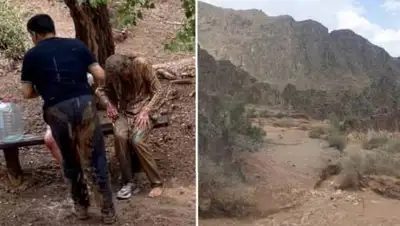 baigenews, фото - Новости Zakon.kz от 30.05.2021 14:12