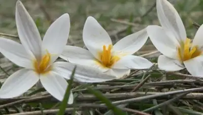 Zakon.kz, фото - Новости Zakon.kz от 09.02.2015 20:40