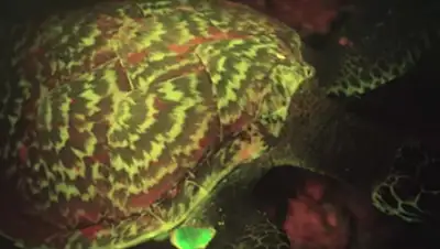 Zakon.kz, фото - Новости Zakon.kz от 30.09.2015 02:13