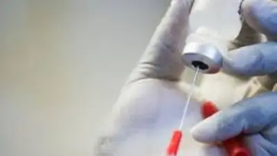 Zakon.kz, фото - Новости Zakon.kz от 29.05.2015 14:17