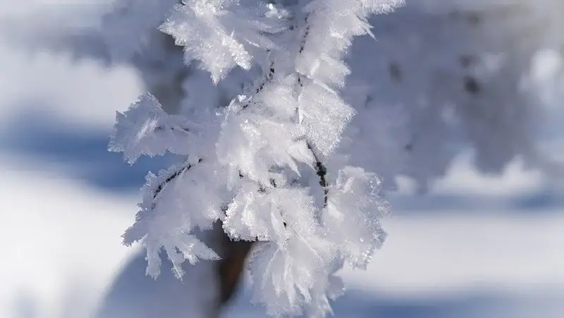 Снег, гололед и туман — погода в Казахстане на 9 февраля