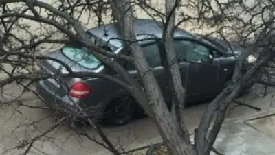 Zakon.kz, фото - Новости Zakon.kz от 07.12.2015 03:05