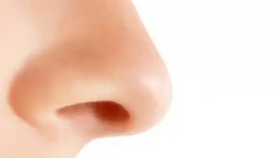 Zakon.kz, фото - Новости Zakon.kz от 02.04.2015 16:19