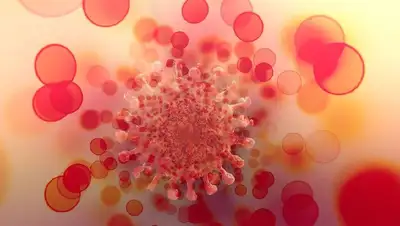 вариант коронавирусной инфекции, фото - Новости Zakon.kz от 24.12.2021 16:51