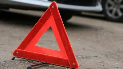 moe-online.ru, фото - Новости Zakon.kz от 04.10.2020 17:33