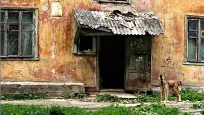 Zakon.kz, фото - Новости Zakon.kz от 22.02.2017 18:10