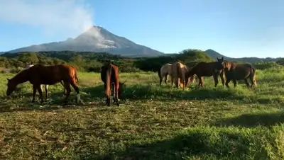 pxhere.com, фото - Новости Zakon.kz от 29.01.2019 22:32