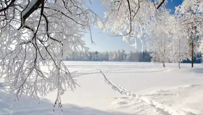 Барометр, фото - Новости Zakon.kz от 29.01.2020 06:06