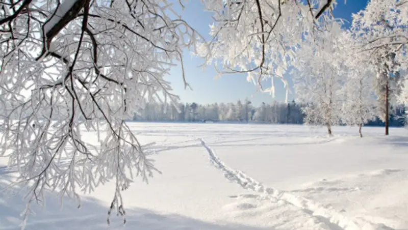 На юге, западе и северо-западе ожидается погода без осадков