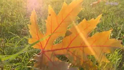 Zakon.kz, фото - Новости Zakon.kz от 05.09.2015 13:05