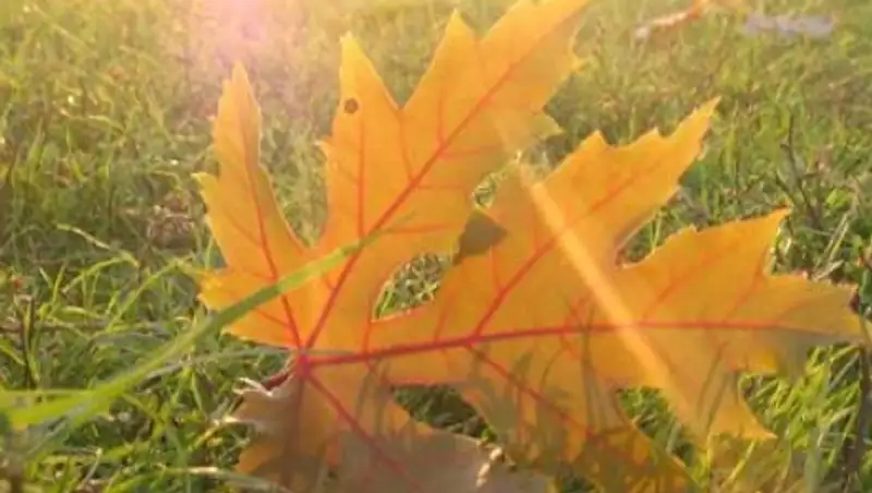 В субботу на большей части территории Казахстана ожидается погода без осадков