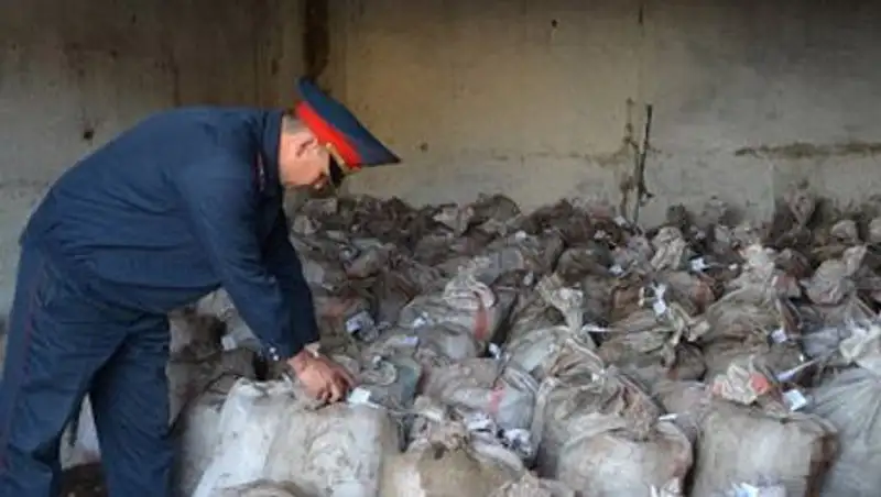 Почти 200 мешков редкого рачка пытались вывести из Коргалжынского заповедника