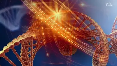 Zakon.kz, фото - Новости Zakon.kz от 09.10.2015 14:01