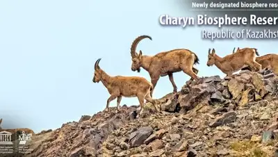 Facebook, фото - Новости Zakon.kz от 25.07.2018 18:04