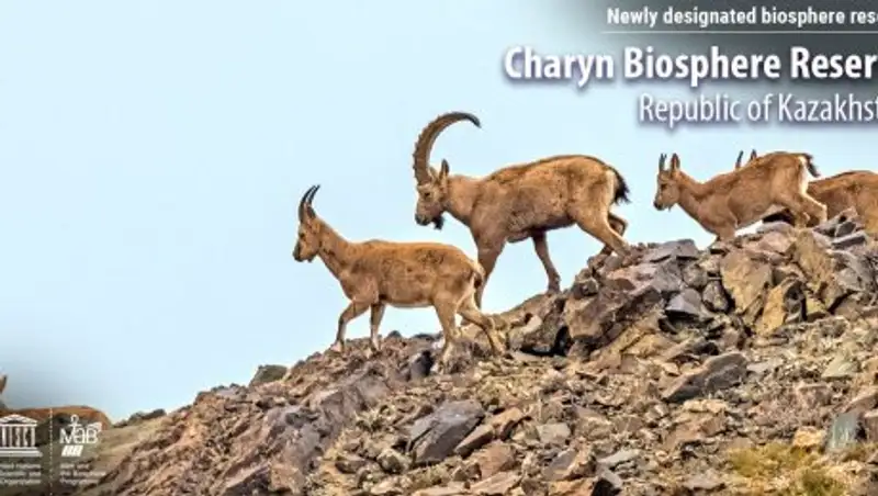 Казахстанские заповедники вошли в список ЮНЕСКО