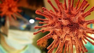 pixabay, фото - Новости Zakon.kz от 21.05.2021 06:07