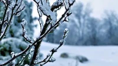 Zakon.kz, фото - Новости Zakon.kz от 07.02.2017 12:00