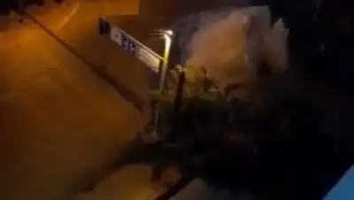 Instagram/kris_p_almaty, фото - Новости Zakon.kz от 25.06.2020 01:34