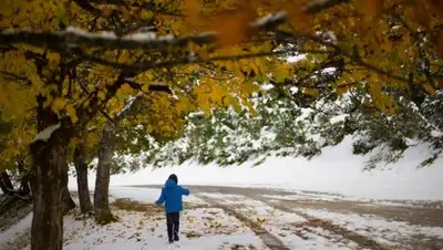 Zakon.kz, фото - Новости Zakon.kz от 26.11.2017 09:23
