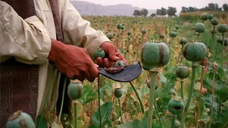 Делегаты Совбеза РК в Казани обсудили противодействие глобальной наркоугрозе