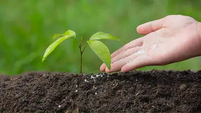 В каких случаях могут приостановить лицензию на экспорт удобрений, фото - Новости Zakon.kz от 22.09.2023 10:27