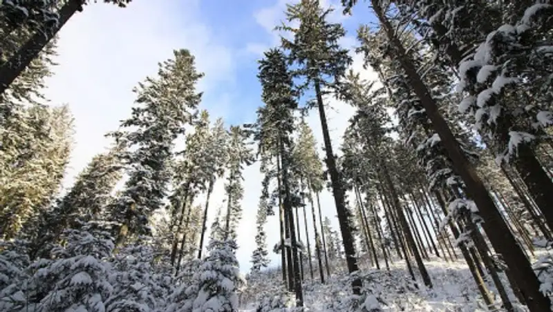 В Казахстане потеплеет до плюс 18