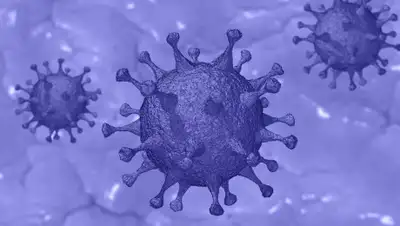 Pixabay, фото - Новости Zakon.kz от 01.04.2020 13:28