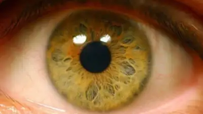 из открытых источников, фото - Новости Zakon.kz от 25.01.2019 18:22