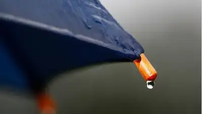 pixabay.com, фото - Новости Zakon.kz от 10.09.2021 15:54