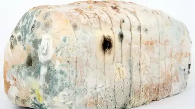 Почему опасно есть, объяснили медики, фото - Новости Zakon.kz от 17.03.2023 01:41