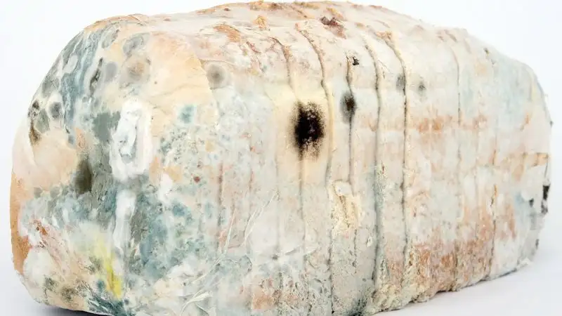 Почему опасно есть хлеб с плесенью, объяснили медики