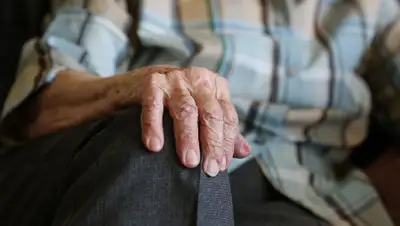 Pixabay, фото - Новости Zakon.kz от 24.10.2019 06:54