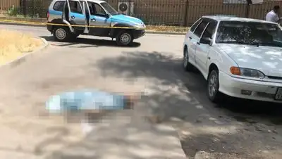 inform.kz, фото - Новости Zakon.kz от 13.07.2018 15:29