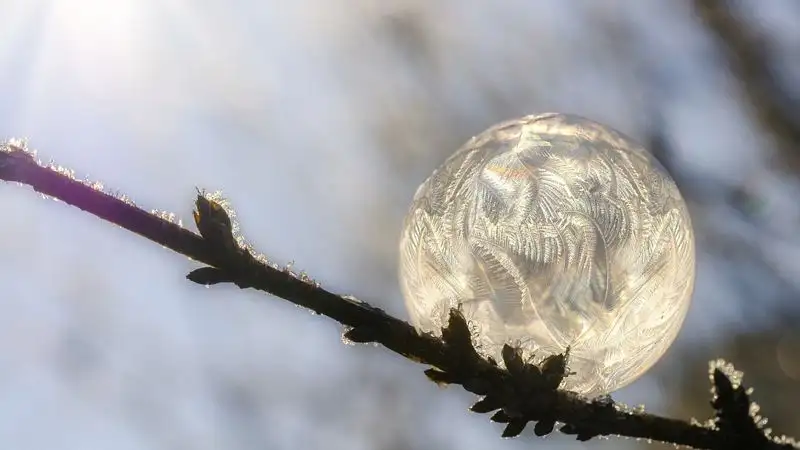 Какую погоду обещают синоптики 6 февраля в Алматы, Астане и Шымкенте