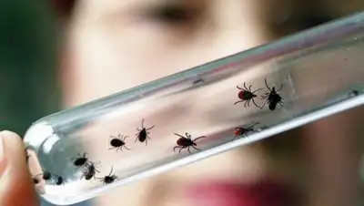 Zakon.kz, фото - Новости Zakon.kz от 27.04.2017 01:02