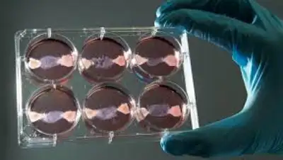 Zakon.kz, фото - Новости Zakon.kz от 29.01.2016 18:30