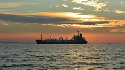 © Fotolia / lphoto, фото - Новости Zakon.kz от 09.05.2021 19:16