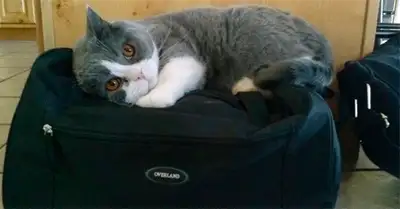 Zakon.kz, фото - Новости Zakon.kz от 05.03.2015 21:39