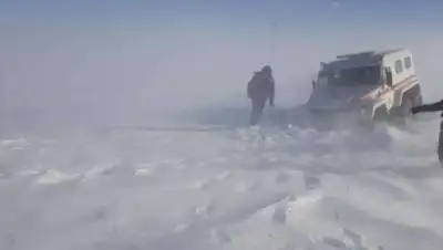 turantimes, фото - Новости Zakon.kz от 08.02.2021 20:39