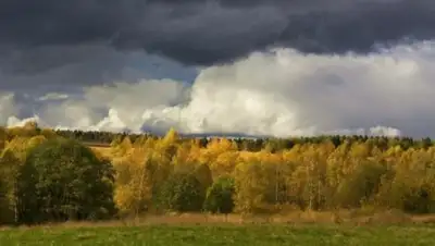 amitel.ru, фото - Новости Zakon.kz от 21.09.2018 09:23