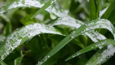 Zakon.kz, фото - Новости Zakon.kz от 31.05.2016 12:00