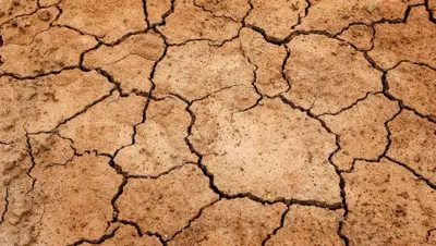 Pixabay, фото - Новости Zakon.kz от 27.05.2020 22:29