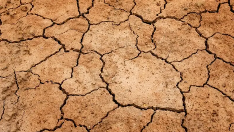 Жители Арыси живут без воды три года